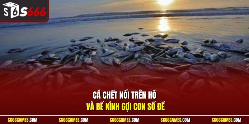 Cá chết nổi trên hồ và bể kính gợi con số đề