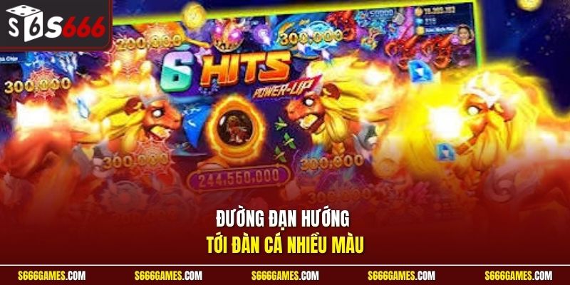 Đường đạn hướng tới đàn cá nhiều màu