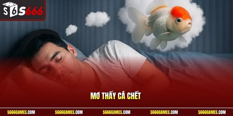 Mơ thấy cá chết