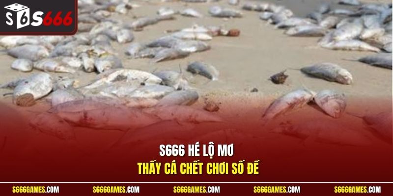 S666 hé lộ mơ thấy cá chết chơi số đề